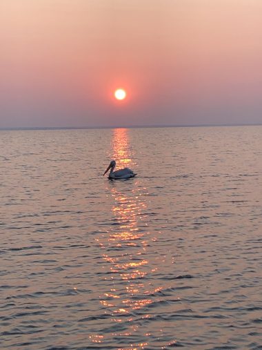 lake-sakakawea-skyspy-photos-images-video