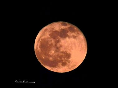 March Full Moon - SkySpy Photos, Images, Video